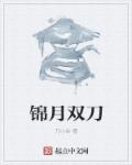 ˫