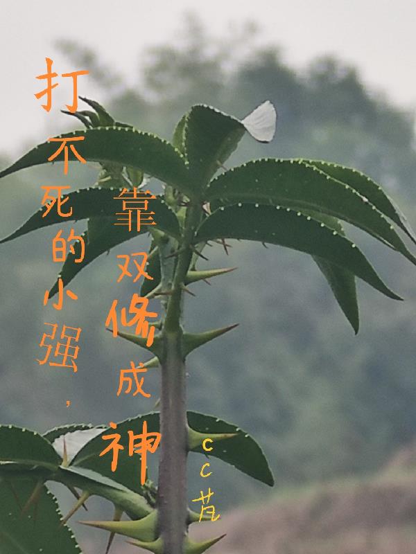 Сǿ˫޳