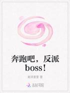 ܰɣboss